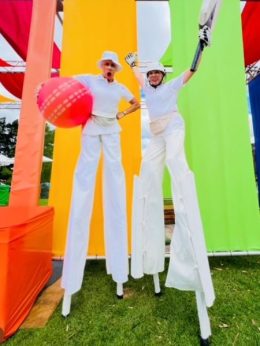 Classic Cricket