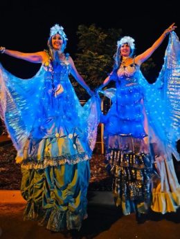MERMAIDS led