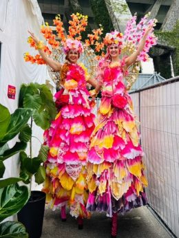 Orchids